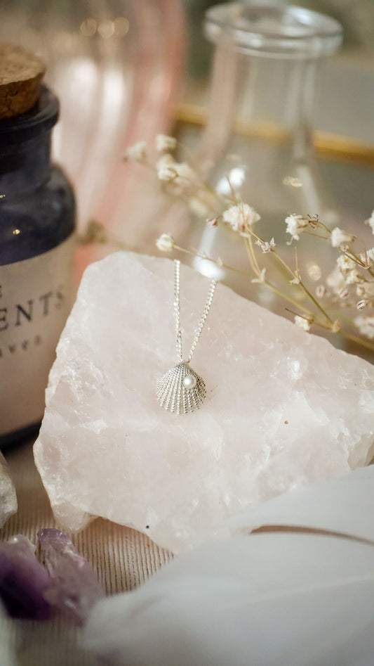 The seashell pendant