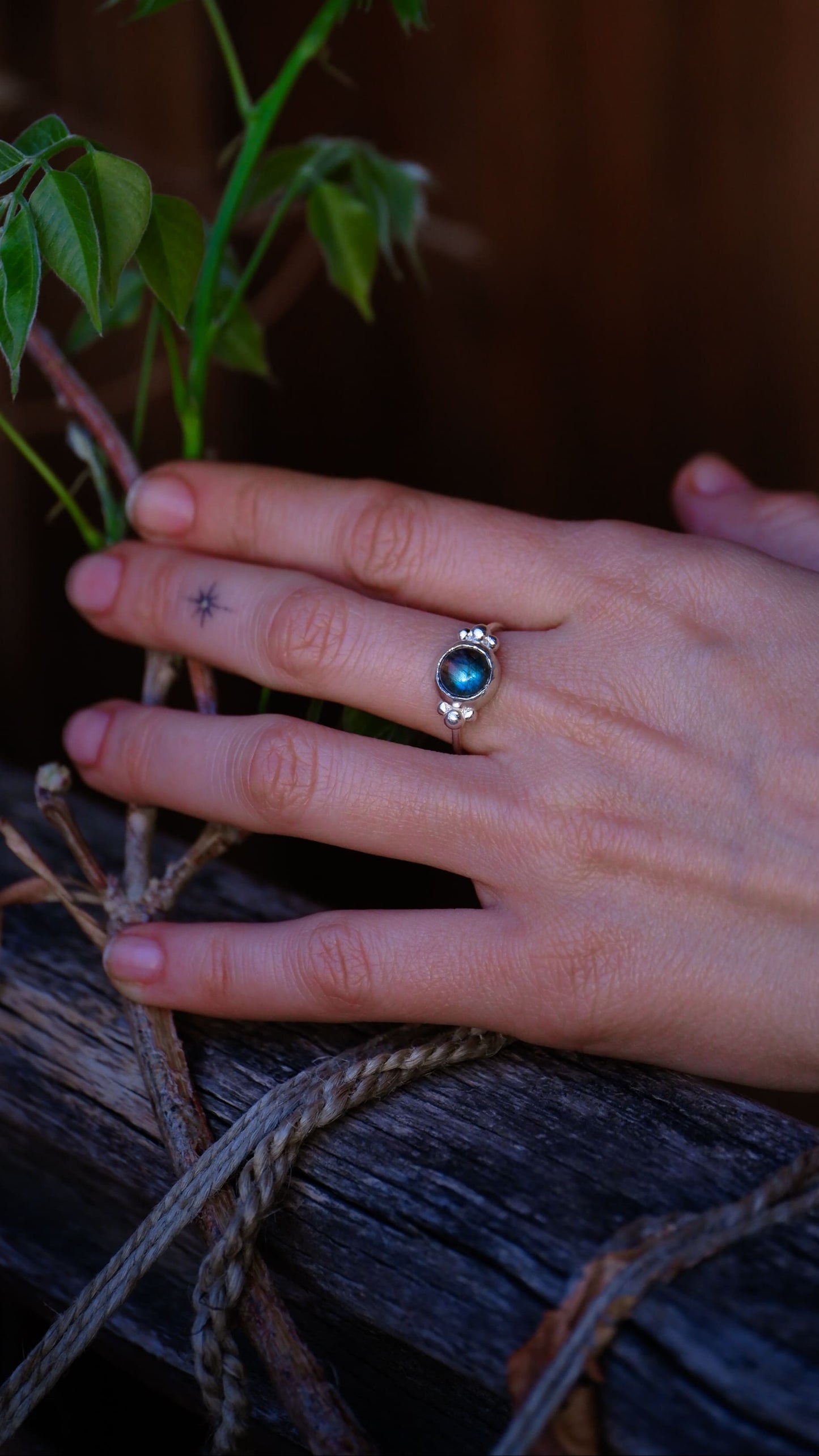 The Lady of the lake ring