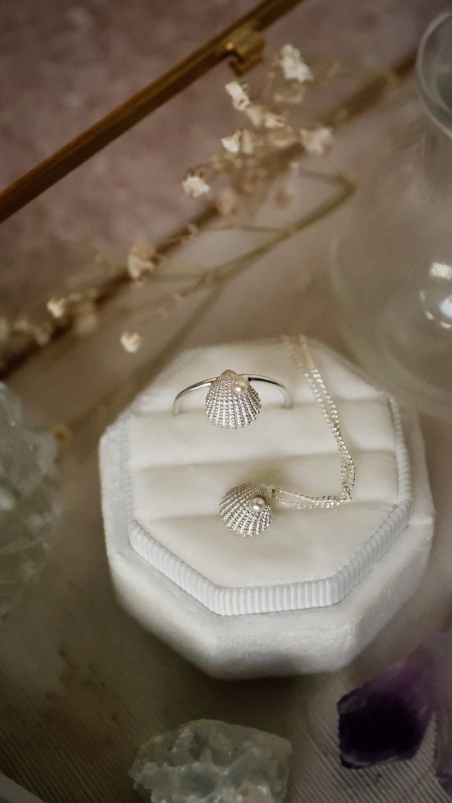 The seashell pendant